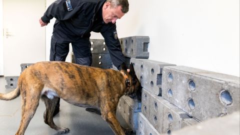 Diensthundführer PHK Peter Baumeister mit Diensthund Hank bei der Suche nach Datenträgern.